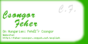 csongor feher business card